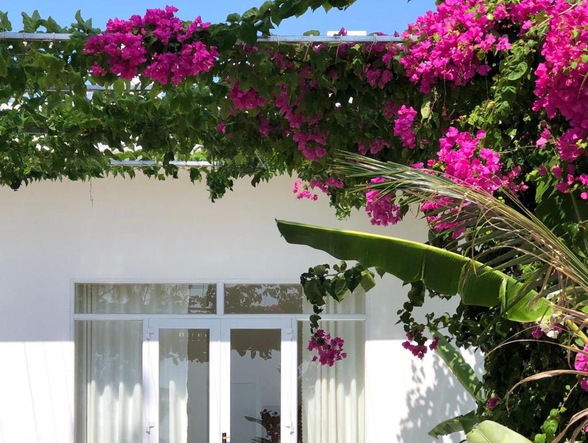 Hotel Timothe Bungalow *